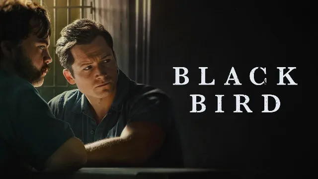 مشاهدة مسلسل Black Bird أونلاين