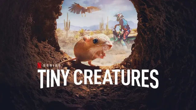شاهد مسلسل Tiny Creatures أونلاين